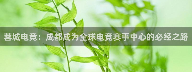 小艾电竞官网：蓉城电竞：成都成为全球电竞赛事中心的必经之路