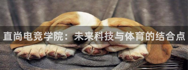 小艾电竞app下载官网：直尚电竞学院：未来科技与体育的结合点