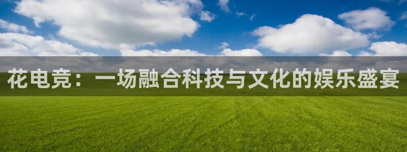 小艾电竞app：花电竞：一场融合科技与文化的娱乐盛宴