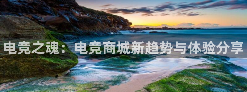 小艾电竞平台官方网：电竞之魂：电竞商城新趋势与体验分享