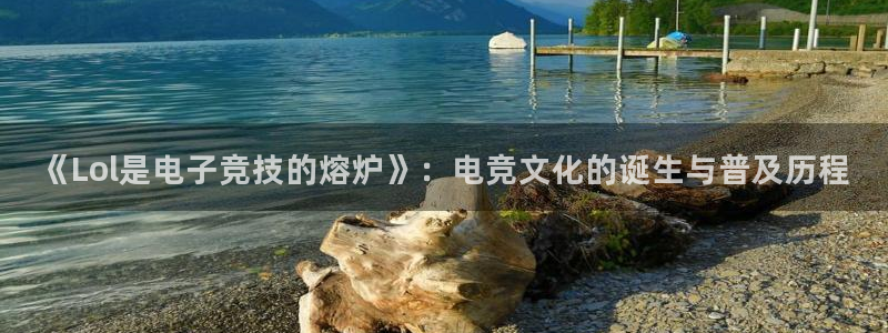 小艾电竞网页版登录：《Lol是电子竞技的熔炉》：电竞文化的诞生与普及历程