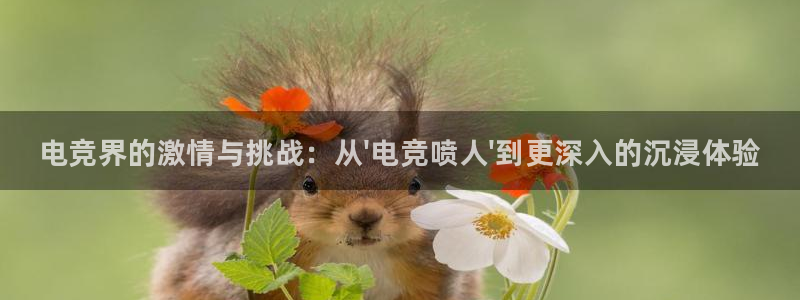 小艾电竞平台：电竞界的激情与挑战：从\'电竞喷人\'到更深入的沉浸体验