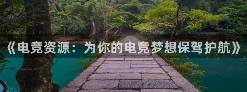 小艾电竞平台：《电竞资源：为你的电竞梦想保驾护航》