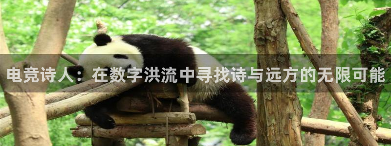 小艾电竞：电竞诗人：在数字洪流中寻找诗与远方的无限可能