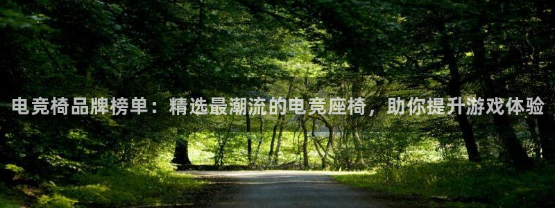 小艾电竞：电竞椅品牌榜单：精选最潮流的电竞座椅，助你提升游戏体验