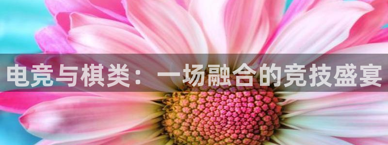 小艾电竞网页版登录：电竞与棋类：一场融合的竞技盛宴