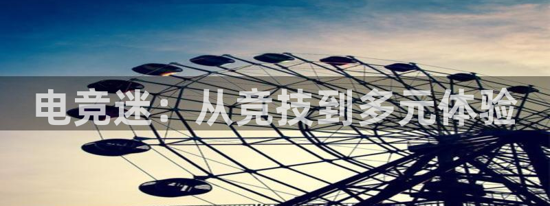 小艾电竞平台官方网：电竞迷：从竞技到多元体验