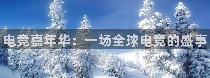 小艾电竞平台官方网：电竞嘉年华：一场全球电竞的盛事