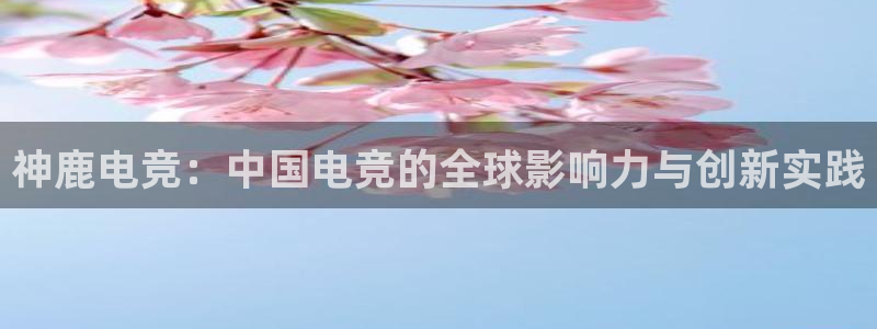 小艾电竞平台：神鹿电竞：中国电竞的全球影响力与创新实践