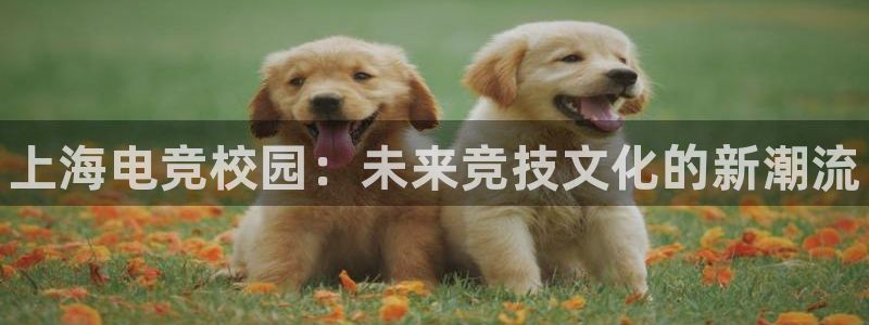 小艾电竞app：上海电竞校园：未来竞技文化的新潮流
