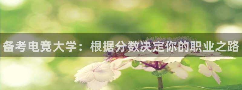 小艾电竞：备考电竞大学：根据分数决定你的职业之路