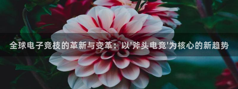 小艾电竞网页版登录：全球电子竞技的革新与变革：以\'斧头电竞\'为核心的新趋势