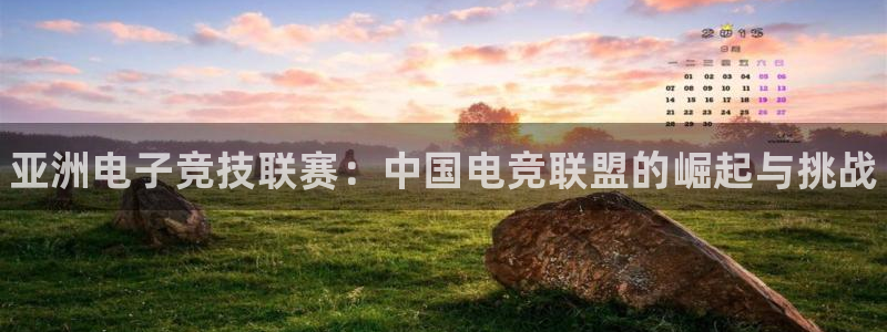 小艾电竞app下载官网：亚洲电子竞技联赛：中国电竞联盟的崛起与挑战