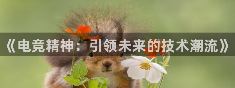 小艾电竞平台官方网：《电竞精神：引领未来的技术潮流》