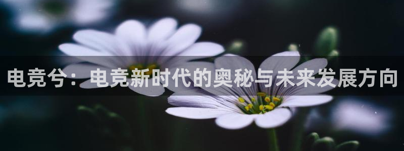 小艾电竞平台：电竞兮：电竞新时代的奥秘与未来发展方向