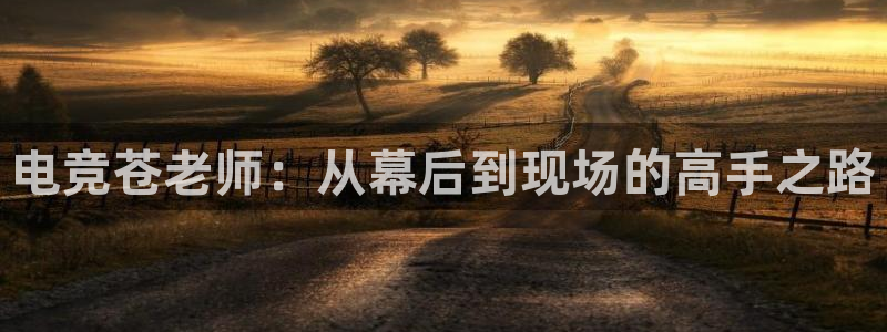 小艾电竞app：电竞苍老师：从幕后到现场的高手之路