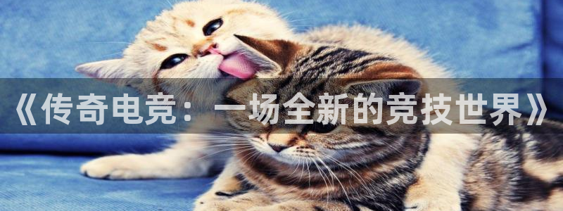 小艾电竞网页版登录：《传奇电竞：一场全新的竞技世界》