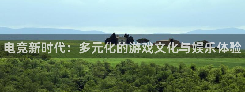 小艾电竞官网：电竞新时代：多元化的游戏文化与娱乐体验